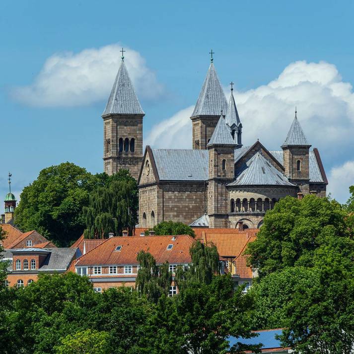 Foto: Viborg Domkirke, Jesper Maagaard