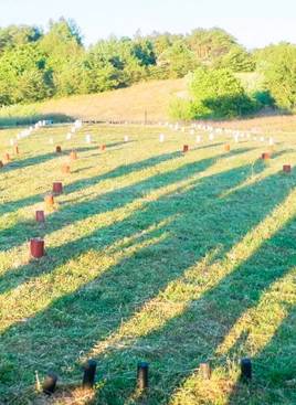 Arkæologisk område på Hvolris Jernalder