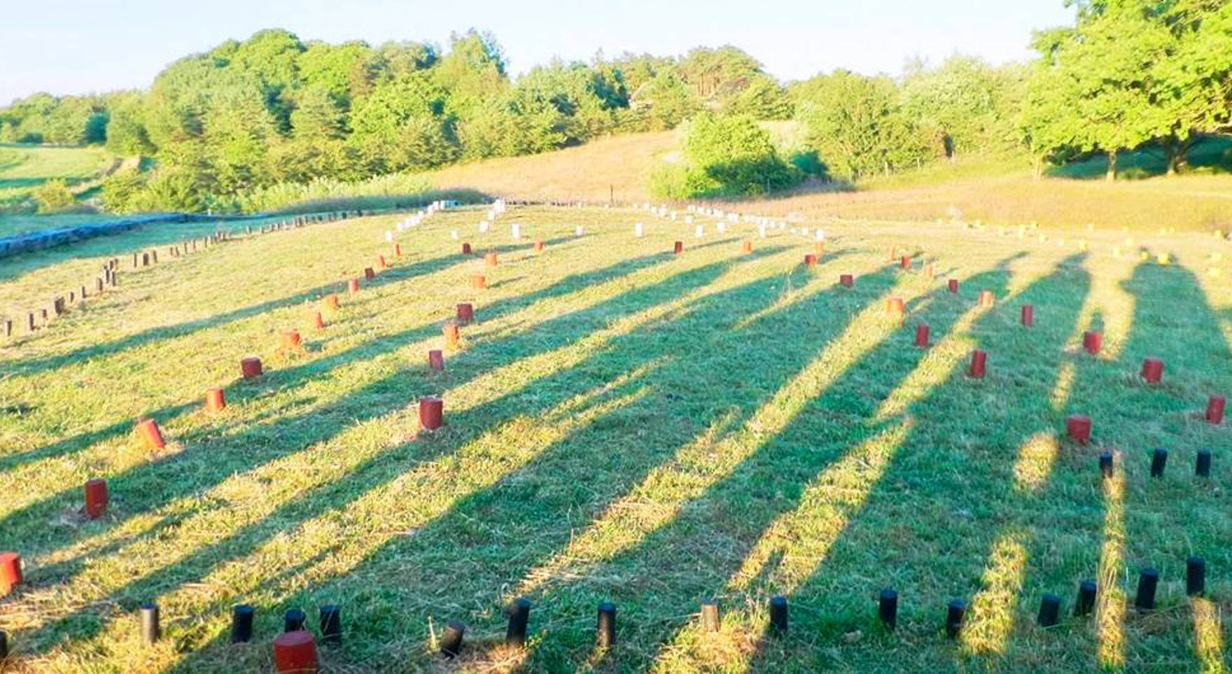 Arkæologisk område på Hvolris Jernalder