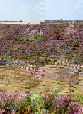 Kongenshus Mindepark - Jesper Maagaard